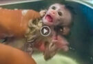 Little Adorable baby Toto doesn’t want to take a bath in the morning, Mom keeps clean